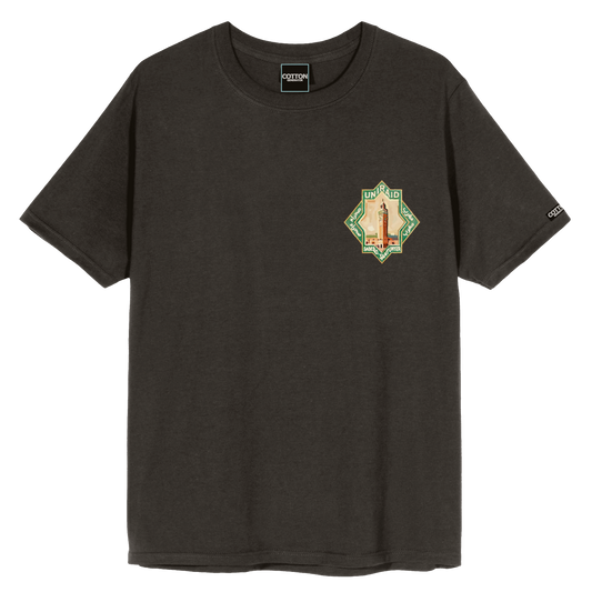 Camiseta Santunyer gris