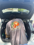 Camiseta peaches manga larga gris