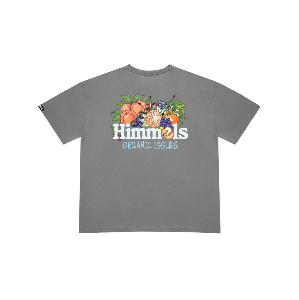 CAMISETA ORGANIC ISSUES CHARCOAL