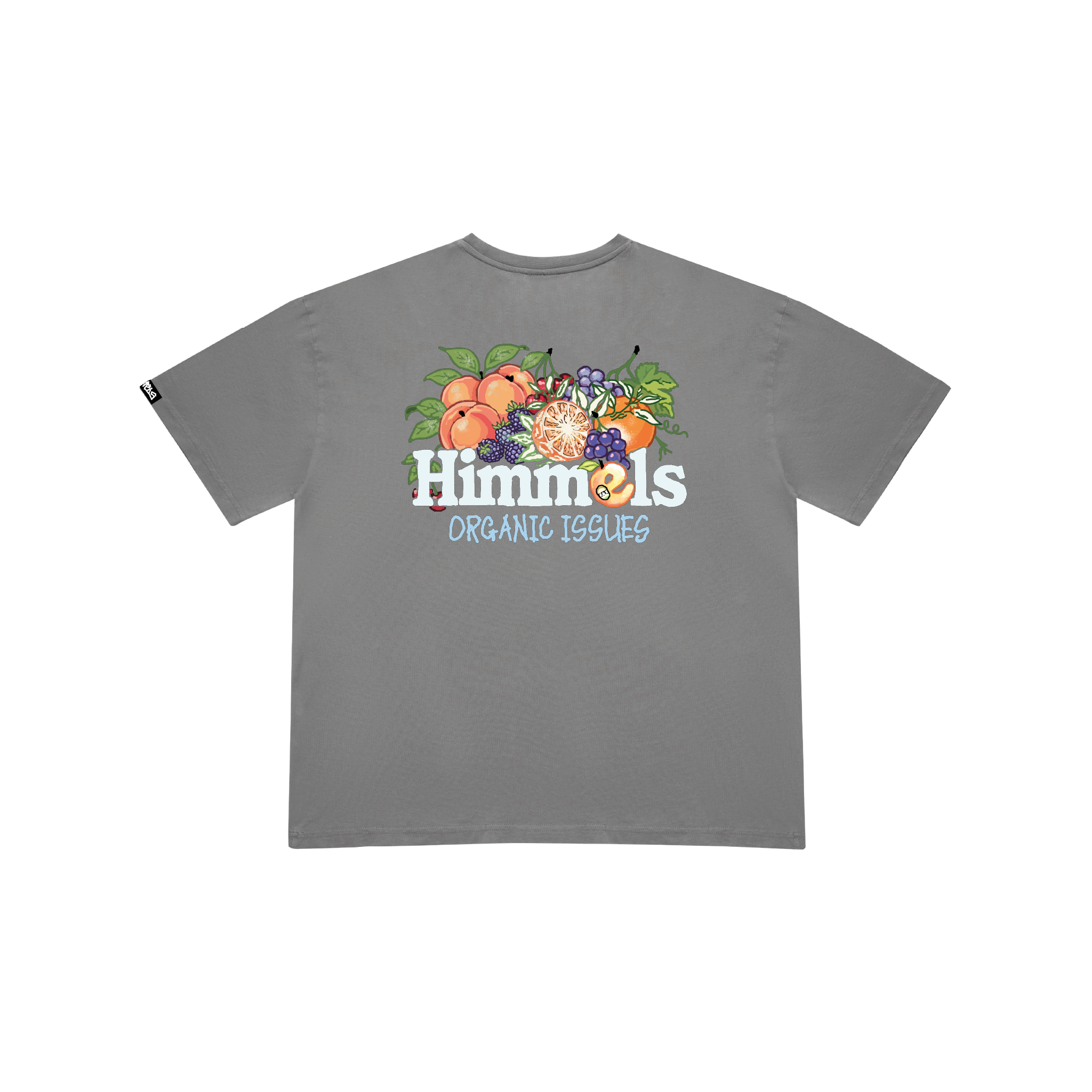 CAMISETA ORGANIC ISSUES CHARCOAL
