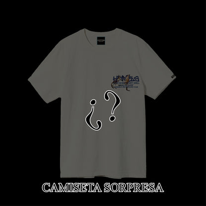 CAMISETA SORPRESA Himmels