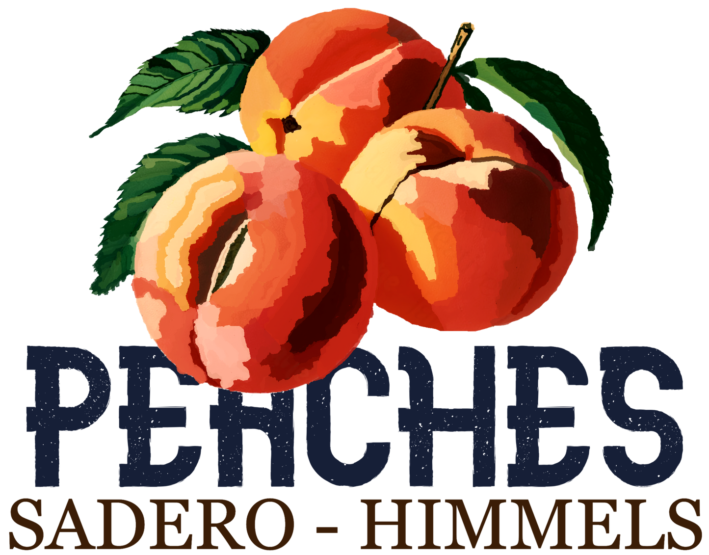 CAMISETA SORPRESA Himmels