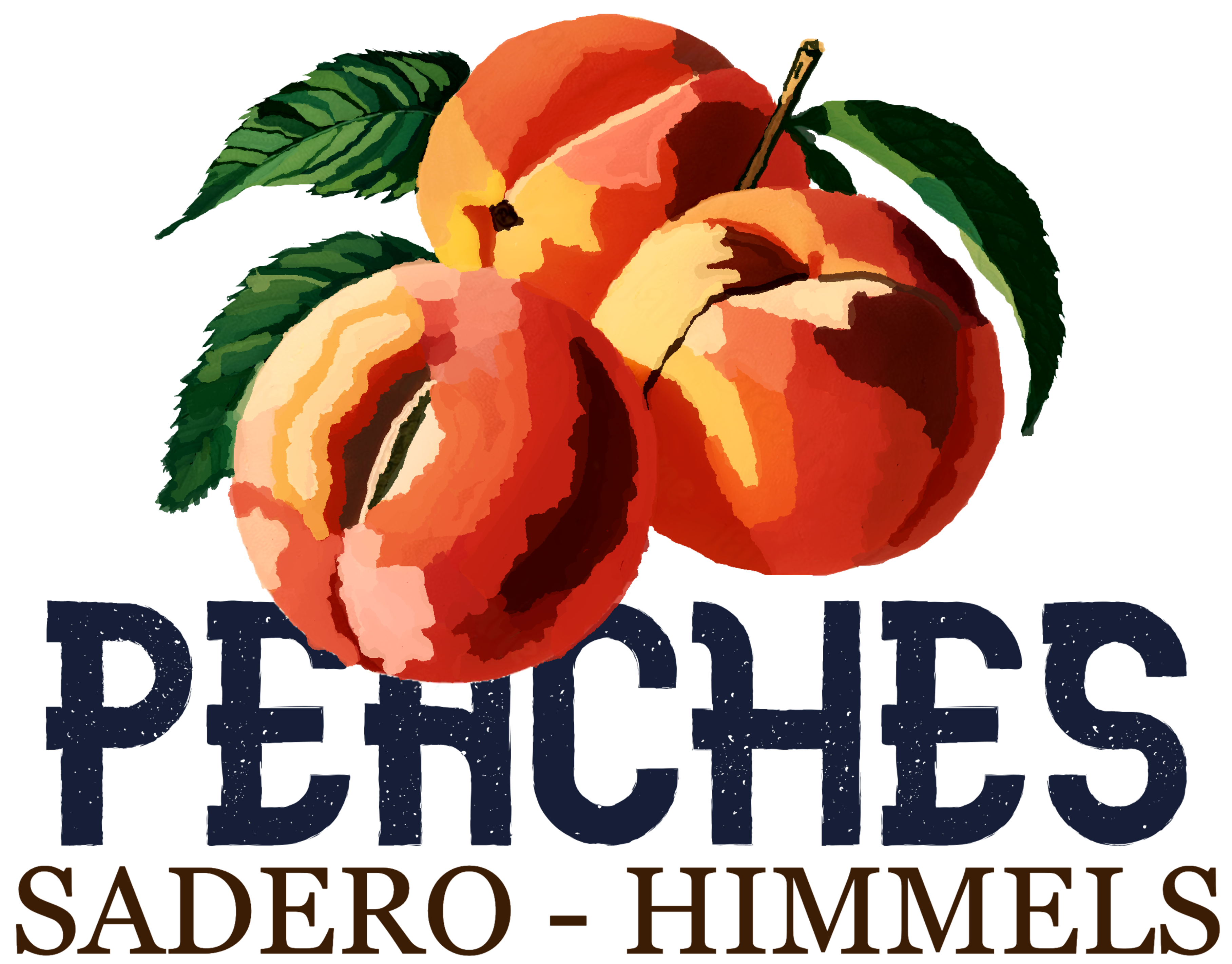 CAMISETA SORPRESA Himmels