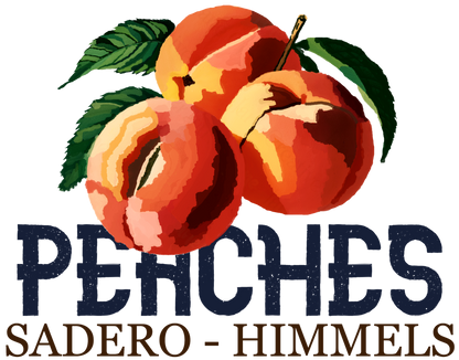 CAMISETA SORPRESA Himmels