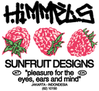 CAMISETA SORPRESA Himmels