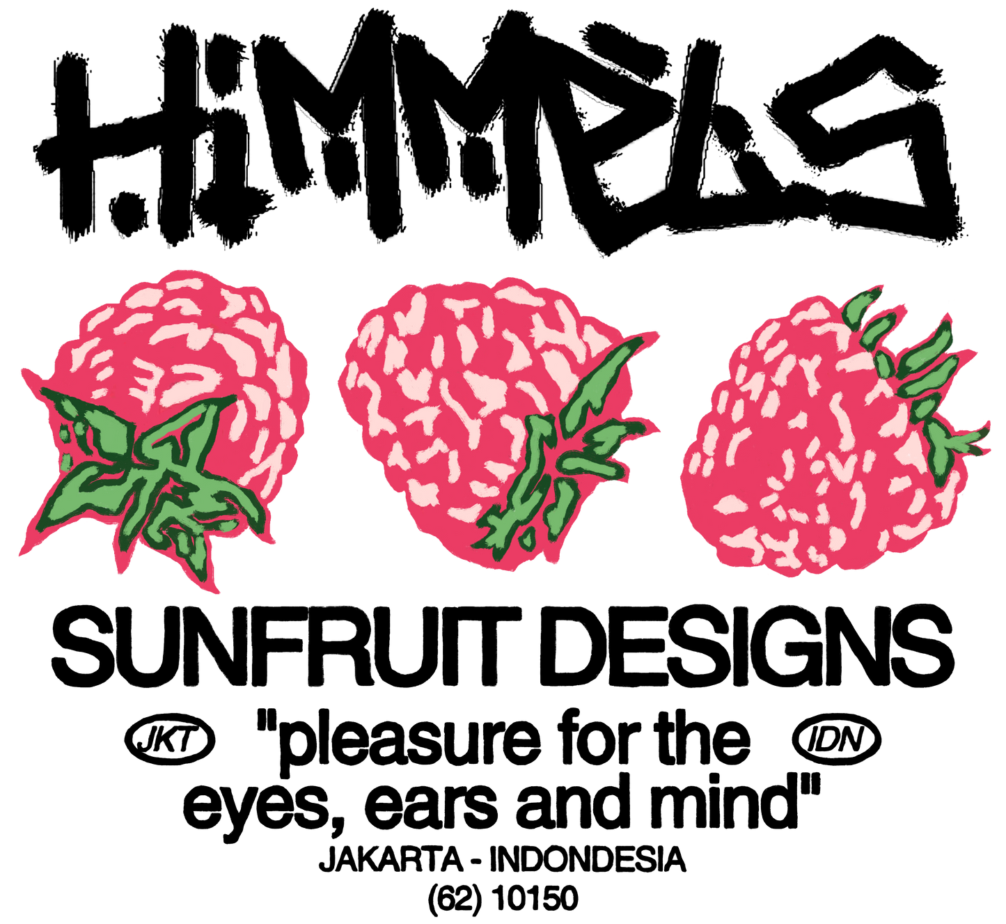 CAMISETA SORPRESA Himmels