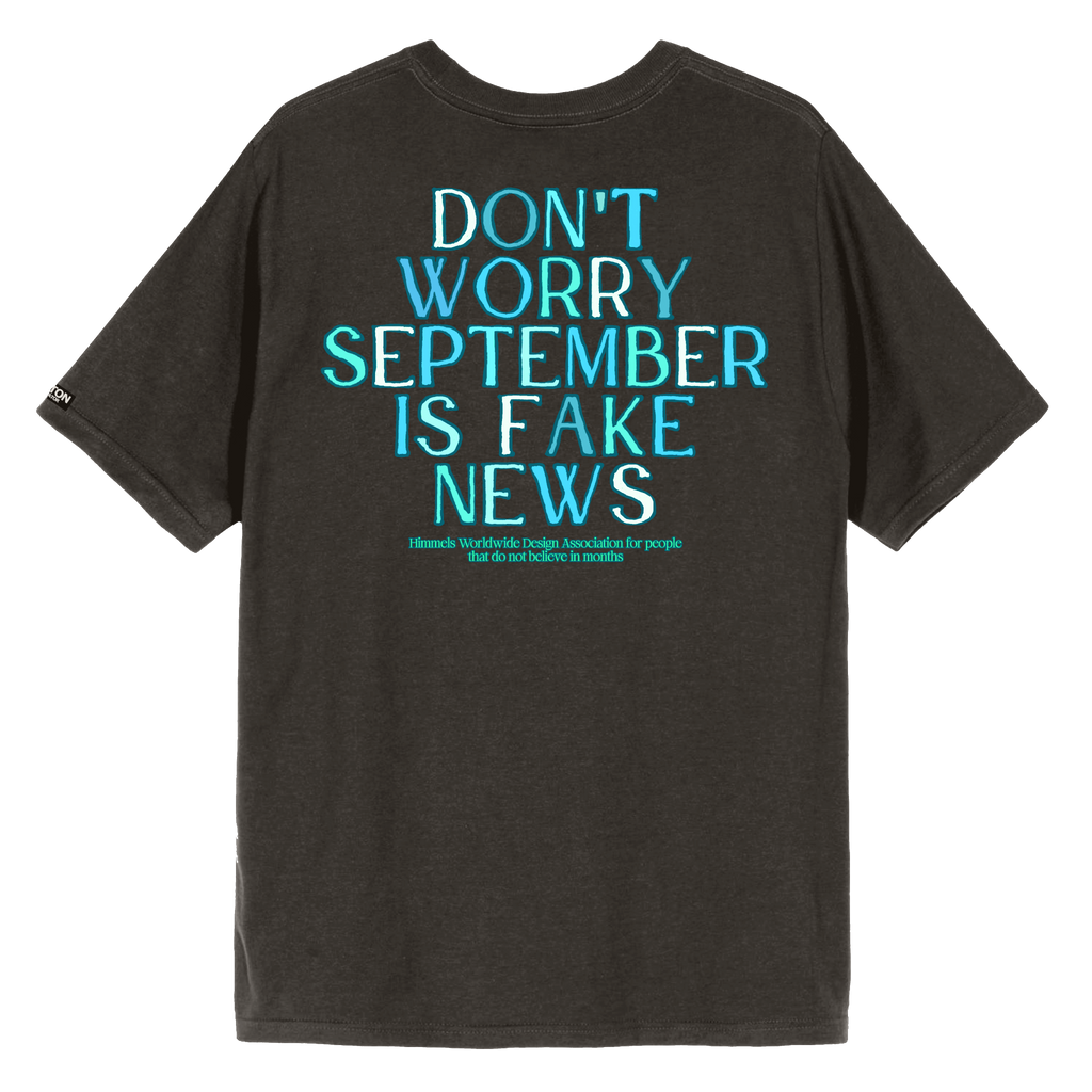 Camiseta Himmels september gris